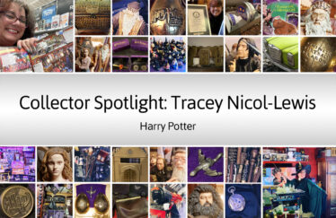 Tracey Nicol-Lewis Harry Potter Collection