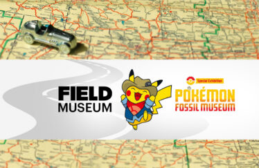 Field Museum in Chicago, Illinois